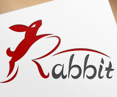 I will elevate your brand with a professional logo design